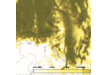 003_ALADIN_cloud_20170810_06s53.gif
