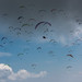AB150809-N-215-650px.jpg